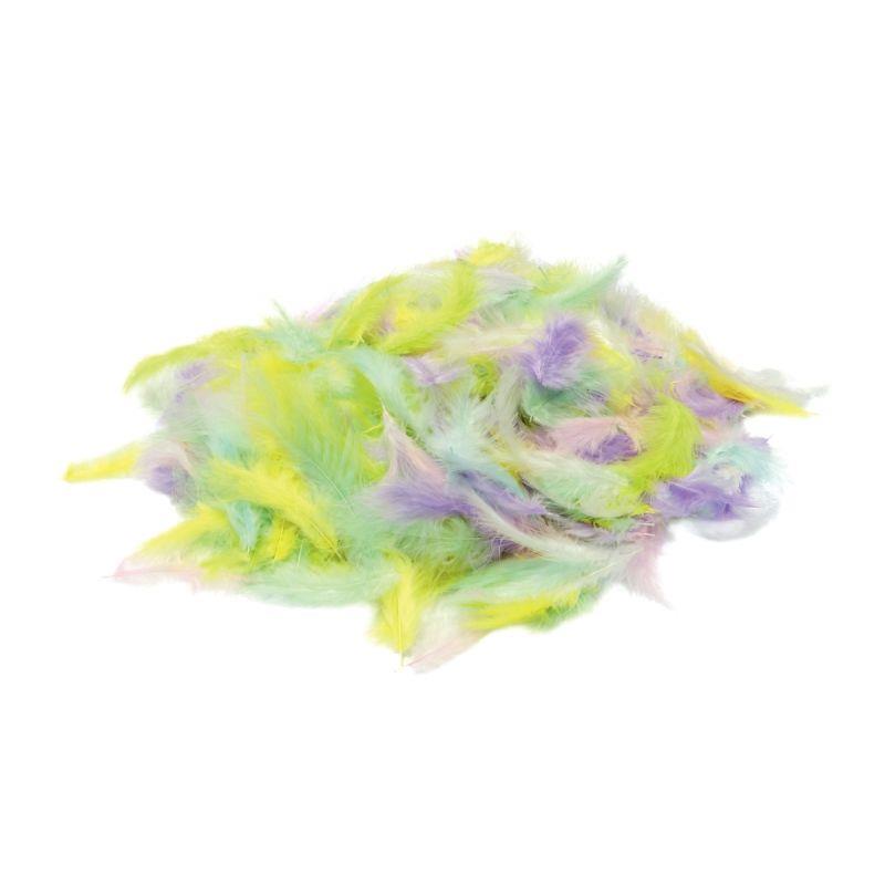 SACHET 100G PLUMES PASTEL ASS