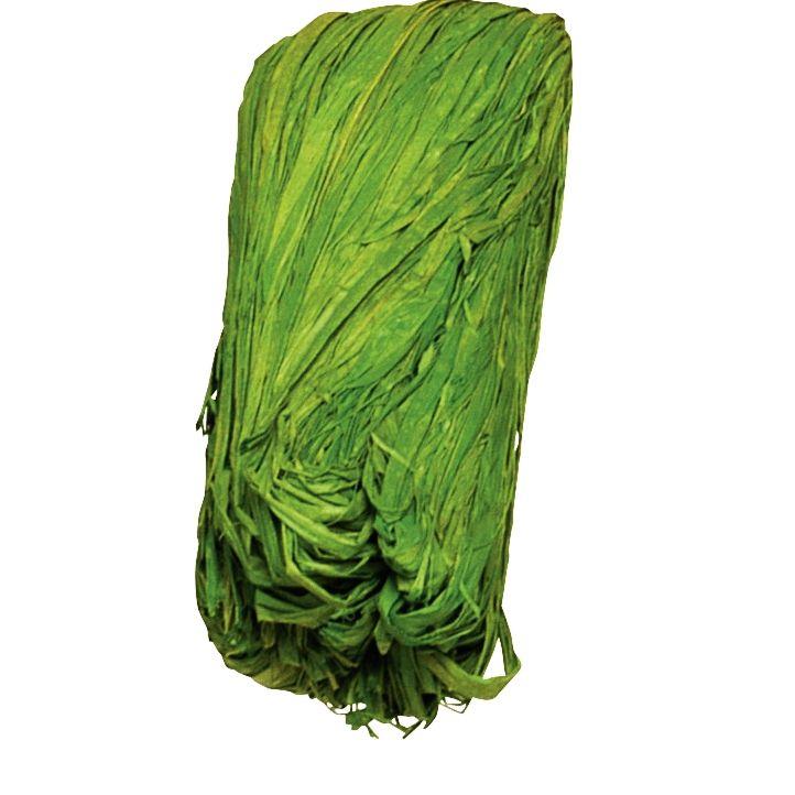 PELOTE 50G RAPHIA VEGETAL VERT