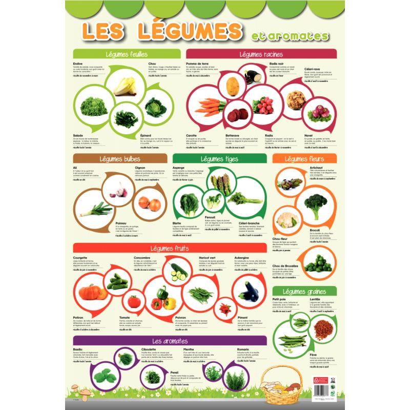 POSTER PVC 76X52 LES LEGUMES